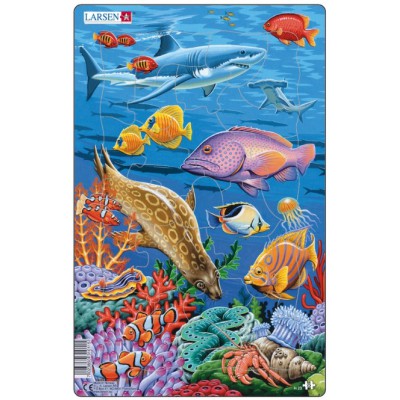Larsen Puzzle 2 Midi Puzzle Korallenriff je 25 Teile Meerestiere Meer Tiere 