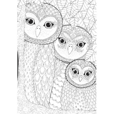 Puzzle Perre-Anatolian-3316 Owls Family