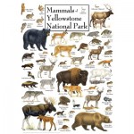 Puzzle   Mammals of Yellowstone National Park