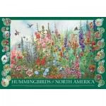 Puzzle  Cobble-Hill-49015 Hummingbirds of North America