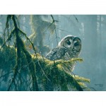 Puzzle  Cobble-Hill-85002 XXL Teile - Mossy Branches - Spotted Owl