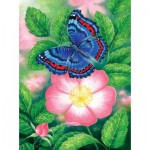 Puzzle   Blue Butterfly