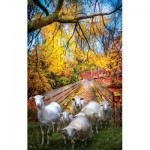 Puzzle   Celebrate Life Gallery - Sheep Crossing