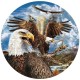 Steven Michael Gardner - 13 Eagles