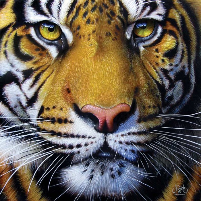 Jurek - Golden Tiger Face