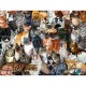 XXL Teile - Cat Collage
