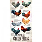 Puzzle   XXL Teile - Popular Chicken Breeds