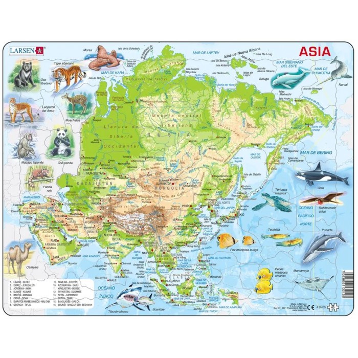 Larsen-A30-ES Rahmenpuzzle - Asia Topographic Map (Spanish)