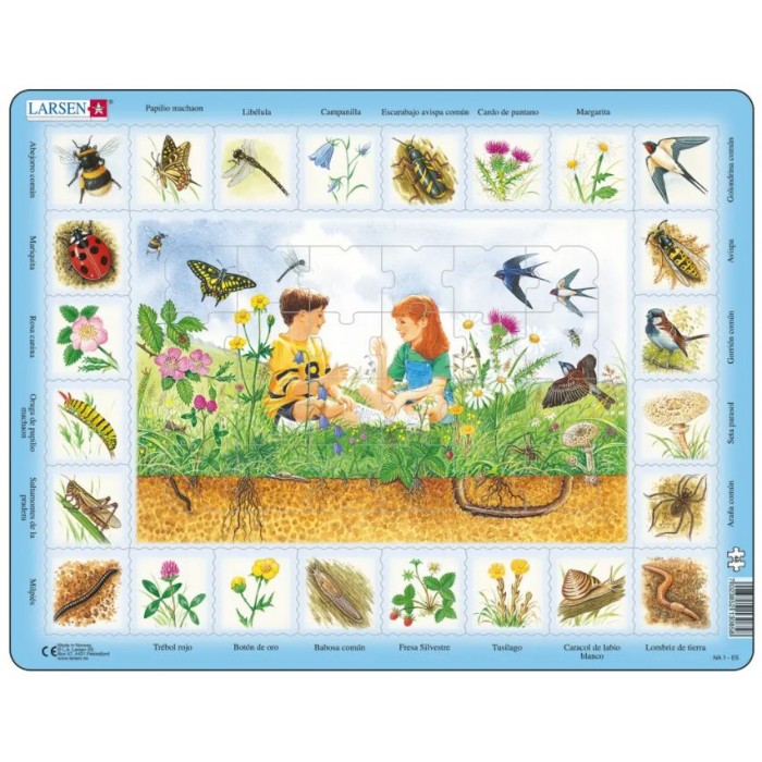Larsen-NA1-ES Rahmenpuzzle - Nature Puzzle - Field (Spanish)