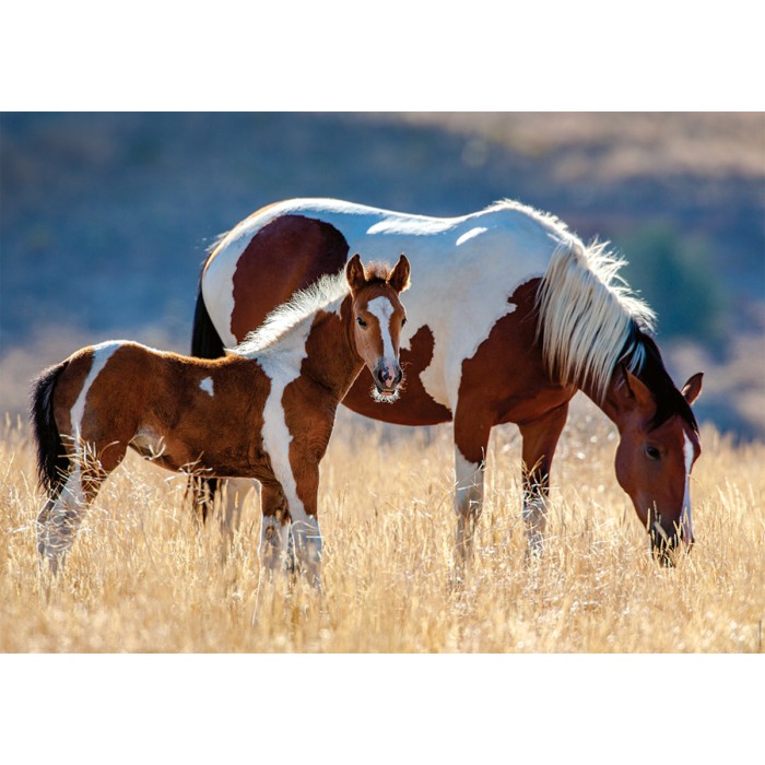 Puzzle   Mare and Her Foal