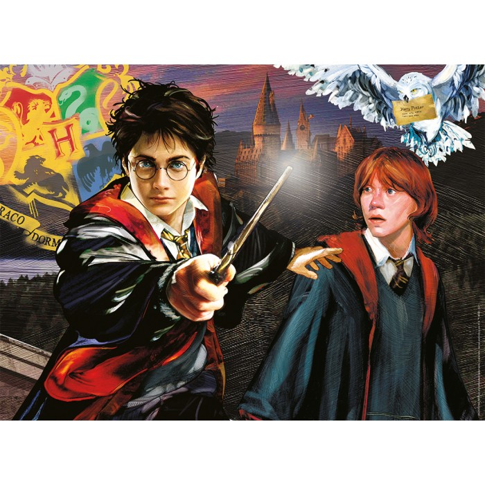 XXL Teile - Harry Potter und Ron