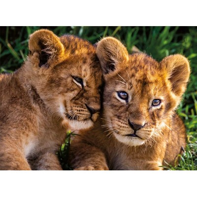 Puzzle Nathan-86881 Adorable Lion Babies