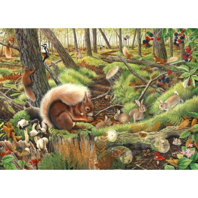 Puzzle The-House-of-Puzzles-3688 Save Our Squirrels