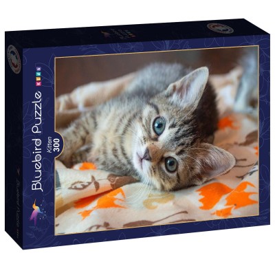 Puzzle Bluebird-Puzzle-F-90083 Kitten