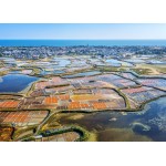 Puzzle  Bluebird-Puzzle-F-90442 44 - Loire Atlantique - Marais Salants Guérande, Batz-sur-Mer, France