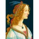 Sandro Botticelli - Idealized Portrait of a Lady, 1480