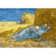 Vincent Van Gogh - The siesta (after Millet), 1890