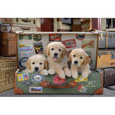 Puzzle Educa-17645 Puppies in the Luggage