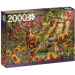 Puzzle  Jumbo-18868 Zauberwald bei Sonnenuntergang