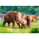 Puzzle   Elefantenfamilie
