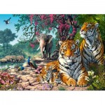 Puzzle  Castorland-030484 Tiger-Schutzgebiet