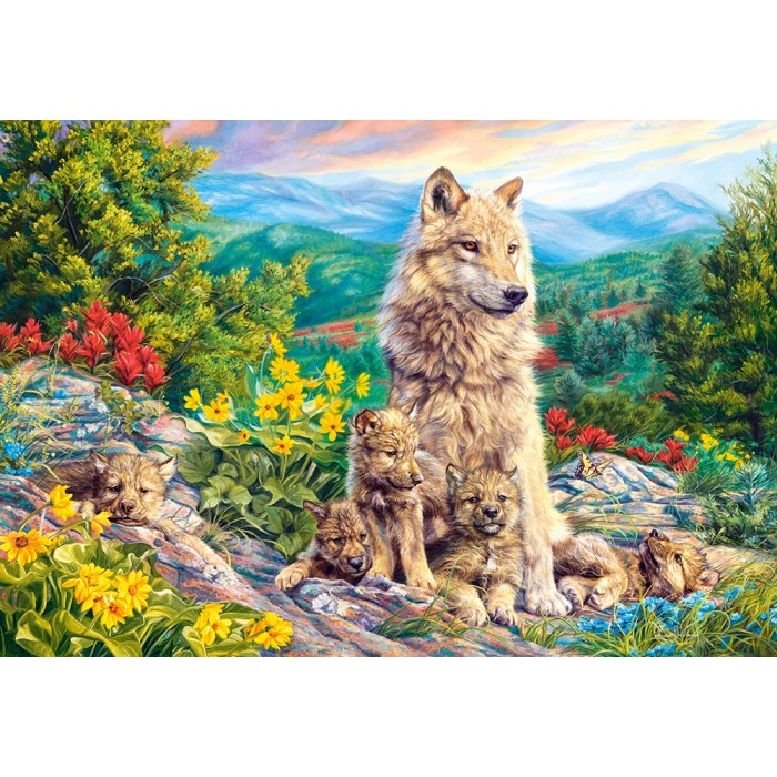 Puzzle Castorland-104420 Neue Generation