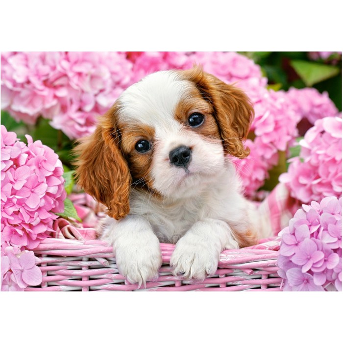 Puzzle Castorland-52233 Welpe in rosa Blumen