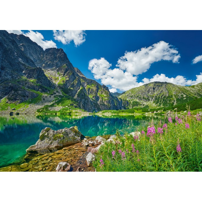 Puzzle  Castorland-54145 Czarny Staw pod Rysami, Tatra, Poland