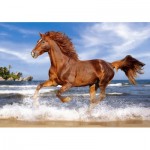 Puzzle   Pferd am Strand