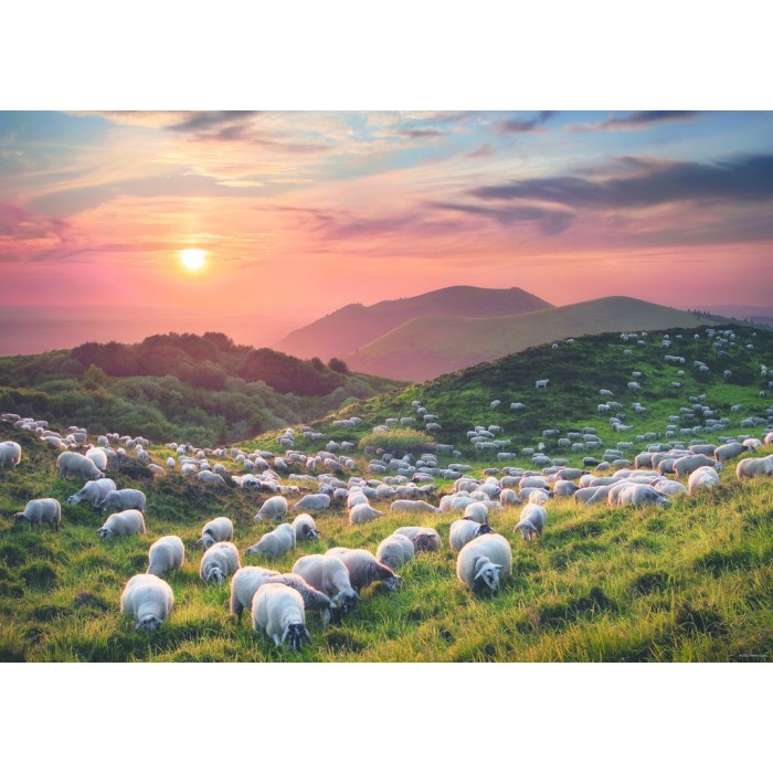 Puzzle Heye-29977 Sheep and Volcanoes