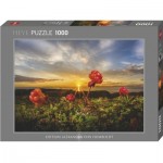 Puzzle  Heye-30016 Cloudberries
