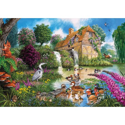 Gibsons-G5025 4 Puzzles - John Francis: Flora und Fauna