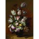 Kollektion Rijksmuseum Amsterdam - Bollongier: Still-Leben, Tulpen
