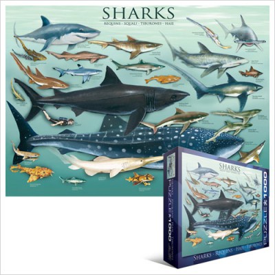 Puzzle Eurographics-6000-0079 Haie