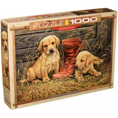 Puzzle Eurographics-6000-0795 Rosemary Millette - Something Old Something New