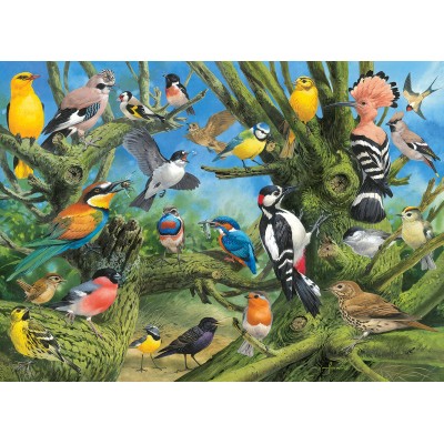 Puzzle Eurographics-6000-0967 Joahn Francis - Garden Birds