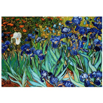 Puzzle Eurographics-6000-4364 Van Gogh: Schwertlilien