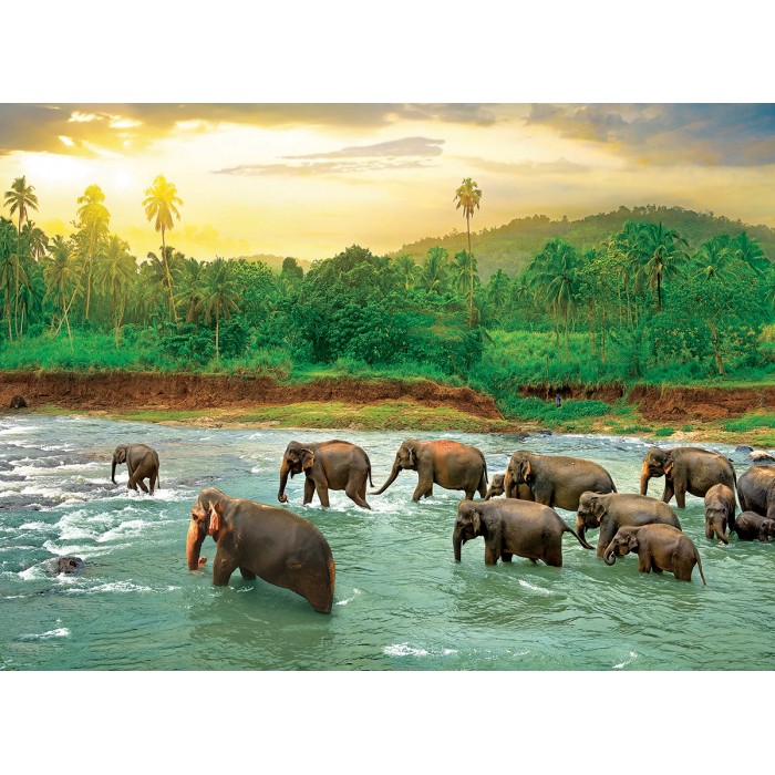Puzzle Eurographics-6000-5540 Save our Planet Collection - Regenwald