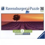 Puzzle   Nature Edition N°5: Duftender Lavendel