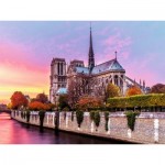 Puzzle   Notre-Dame, Paris