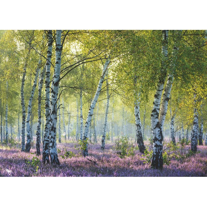 Puzzle Ravensburger-00117 Birkenwald