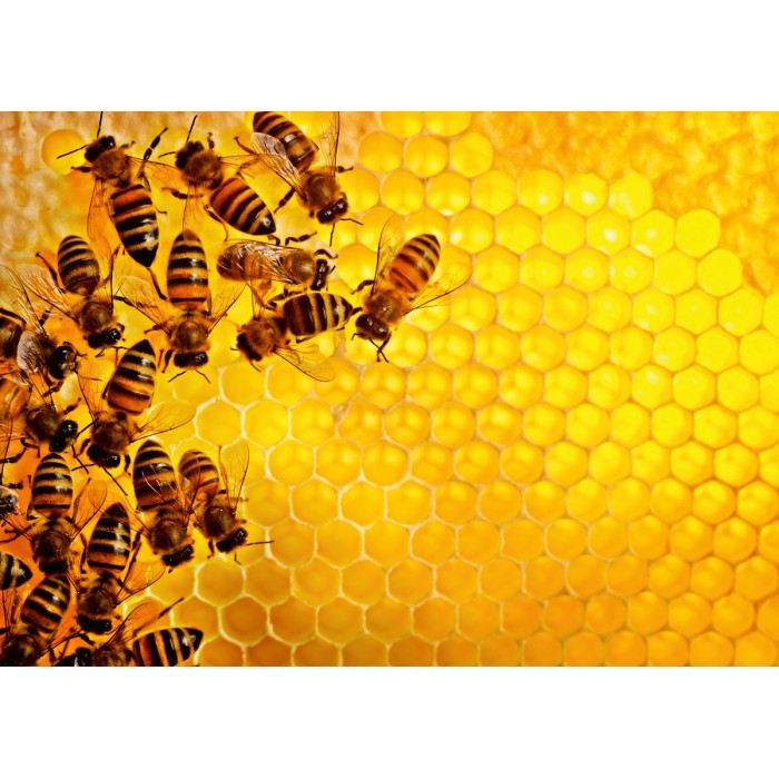 Puzzle  Ravensburger-00614 Bienen