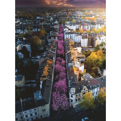 Puzzle Ravensburger-00730 Bonn in Blüten