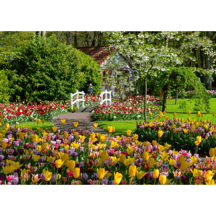 Puzzle Ravensburger-00851 Keukenhof Gärten, Niederlande