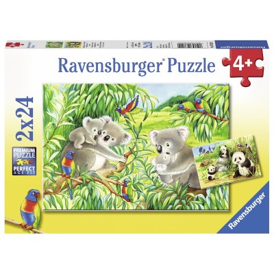 Ravensburger-07820 2 Puzzles - Süße Koalas und Pandas