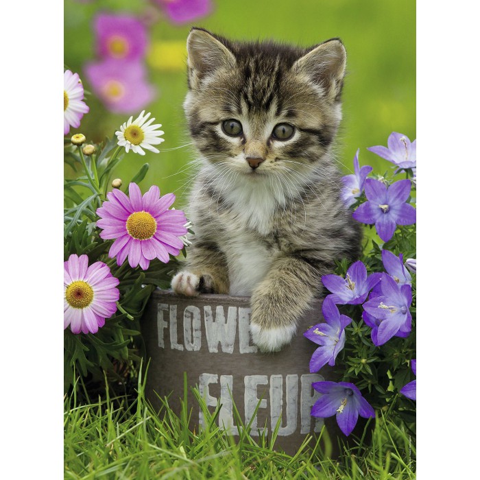 Puzzle Ravensburger-10847 Kleines Kätzchen in den Blumen