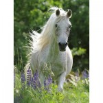 Puzzle  Ravensburger-12927 XXL Teile - White Horse