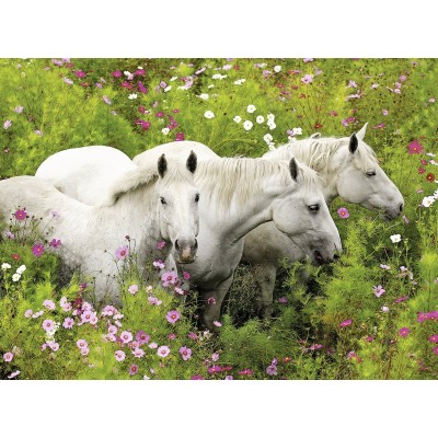 Puzzle Ravensburger-13218 XXL Teile - Pferde auf der Blumenwiese