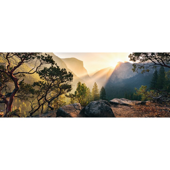 Nature Edition N°10 - Yosemite Park