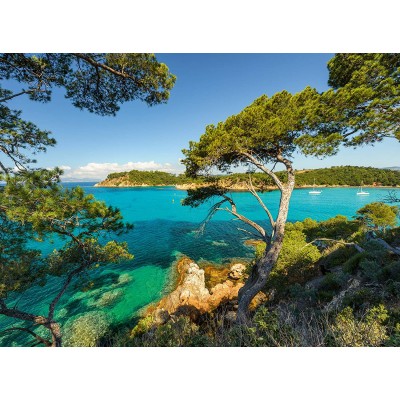 Puzzle Ravensburger-16583 View on the Sea